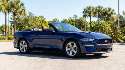 A modern silver car rental drives down a sun-drenched, palm-lined highway in Orlando