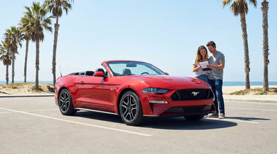 A modern white car hire driving down a scenic coastal highway with palm trees in sunny Florida