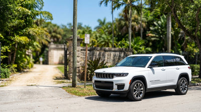 A modern car hire parked under lush palm trees on a sunny street near the Vizcaya Museum in Miami