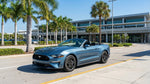 A person considers their car hire options from a line of cars in a sunny Florida lot with palm trees