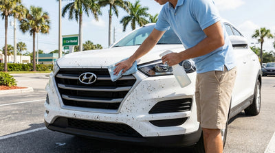 A white car hire in Florida with its front bumper and grille covered in a splatter of love bugs
