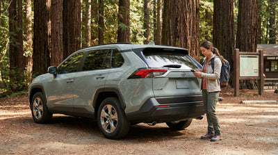A car hire driving down a sunlit road surrounded by giant redwood trees near San Francisco