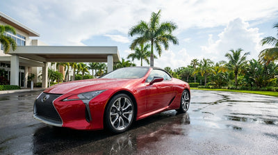 A modern car rental parked under an ominous, stormy sky with palm trees in Florida