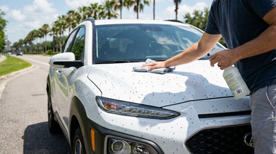 Close-up of a white car hire bumper in Orlando completely covered by a swarm of love bugs