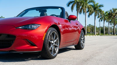 A modern car rental driving on a scenic coastal highway with palm trees in Florida