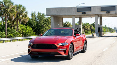 A car rental drives down a sun-drenched Florida highway lined with tall palm trees