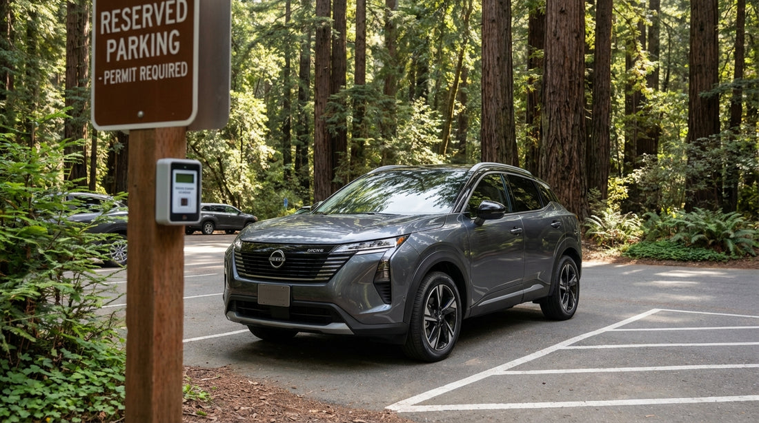 A car hire drives on a winding road through the giant redwood trees of Muir Woods near San Francisco