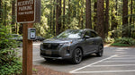 A car hire drives on a winding road through the giant redwood trees of Muir Woods near San Francisco