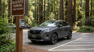 A car hire drives on a winding road through the giant redwood trees of Muir Woods near San Francisco