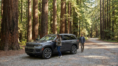 A hire car drives on a scenic road through the giant redwood trees of Muir Woods near San Francisco
