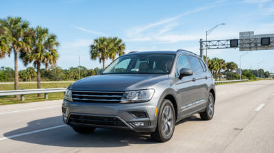 A person drives their car hire on a sunny highway lined with palm trees in Orlando