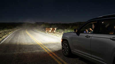Headlights from a car hire illuminate a dark, two-lane highway at night in rural Texas