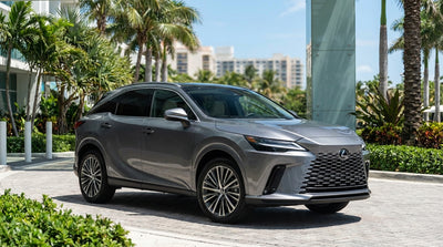 A white Lexus RX 350 car rental parked on a sunny Florida street lined with tall palm trees