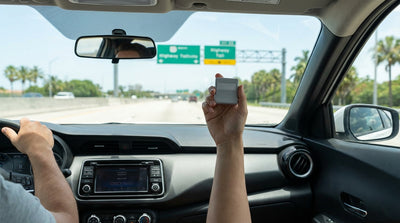A blue car hire driving on a scenic coastal highway in Florida lined with palm trees
