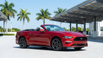 A modern car rental parked along the water with a clear view of the sunny downtown Miami skyline