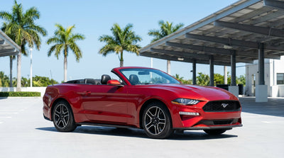 A modern car rental parked along the water with a clear view of the sunny downtown Miami skyline