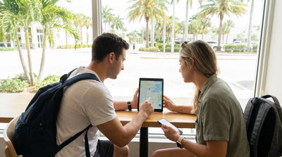 A person drives their car rental down a scenic highway lined with palm trees on a sunny day in Florida