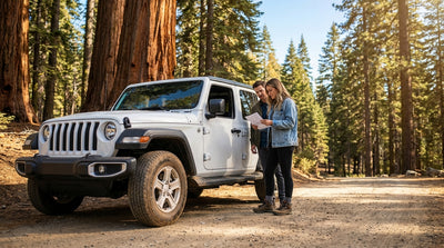 Sunlight filters through tall redwood trees onto a car hire on an unsealed forest road in California
