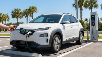 A modern electric car rental plugged into a charging station under palm trees in sunny Florida