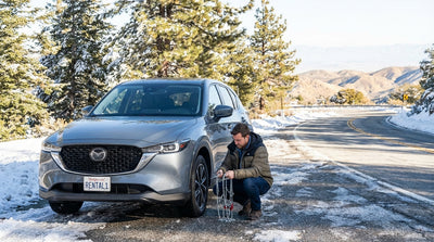 A car hire driving down a palm tree-lined street in Los Angeles with snowy mountains in the background
