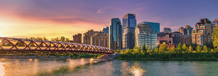 Avis Car Rental | in Calgary