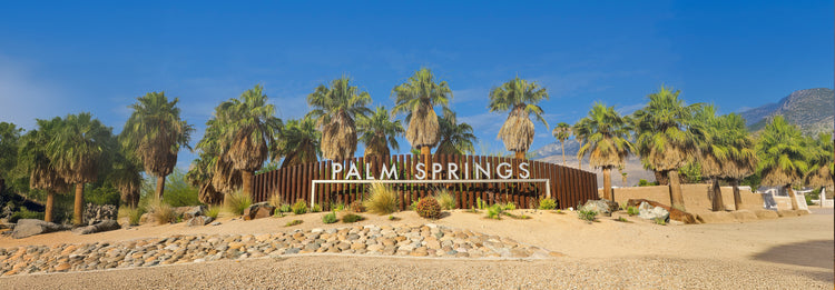 Car Hire | in Palm Springs