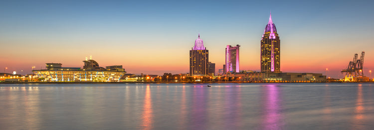 Dollar Car Rental | in Mobile