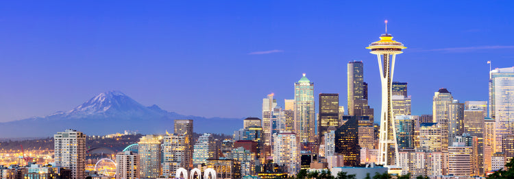 Minivan Rental | in Seattle