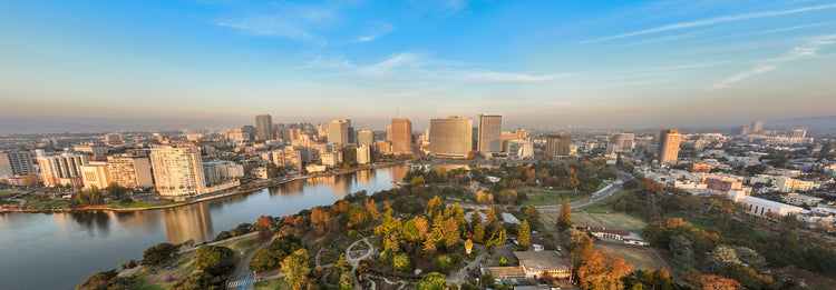 Payless Car Rental | in Oakland